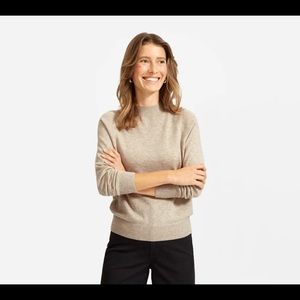 Everlane Cashmere Raglan Mockneck Cashmere Sweater